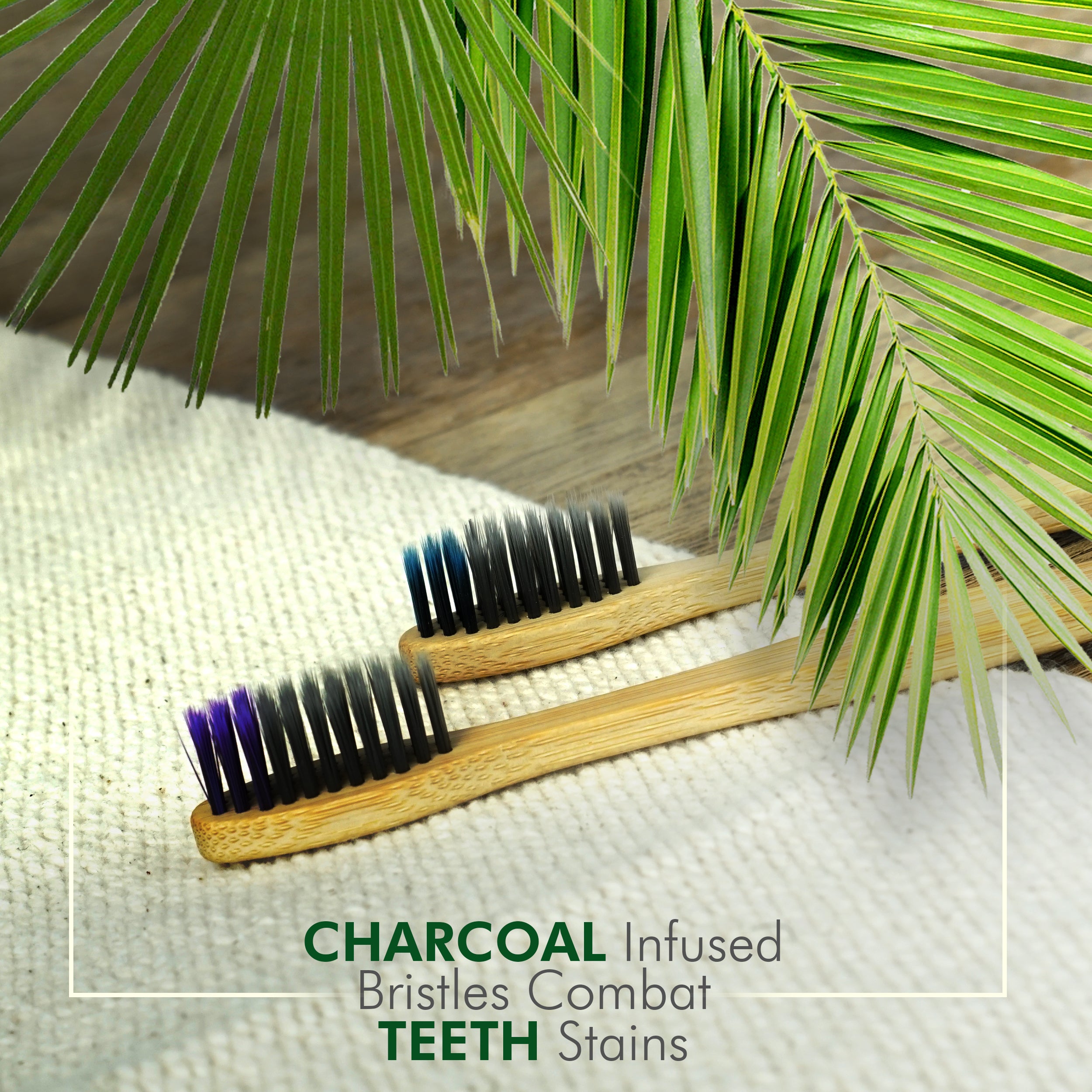 Bamboo Charcoal Toothbrush (pack of 18)- Wholesale Only, Contact to Purchase